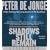 Shadows Still Remain