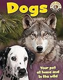 Dogs