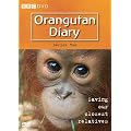 Orangutan Diaries: Series 2 [DVD]