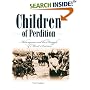 Children of Perdition: Melungeons and the Struggle of Mixed America (Melungeons)