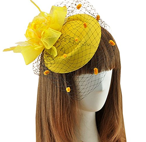 Fascinator Hair Clip Pillbox Hat Bowler Feather Flower Veil Wedding Party Hat
