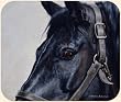 Fiddlers Elbow- Black Horse Mouse Pad by Adeline Halvorson