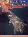 Virginia Wildlife
