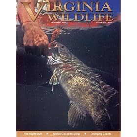 Virginia Wildlife by