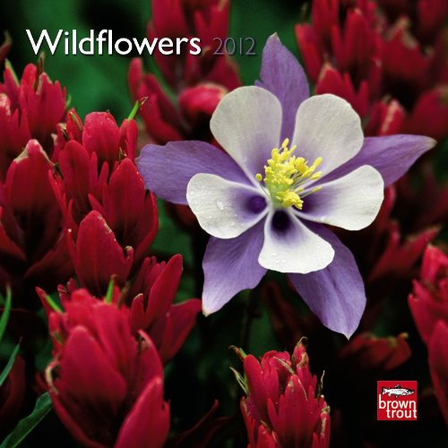 Wildflowers 2012 7X7 Mini Wall Calendar