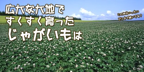 黄金のジャガイモ 北海道産 インカのめざめ 5kg 【送料無料】