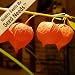 50 Seeds, Chinese Lantern (Physalis alkekengi) Seeds By Seed Needs
