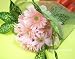 �y�M�t�g�E���蕨�Ɂz�K�[�x��20�{�̉ԑ��E�u�[�P�^�C�vFL-SE-07