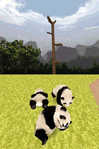 Childrens Toyshop  Video Games : National Geographic Panda