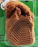 Dog Turd & Footprint