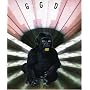 Gang Gang Dance - Retina Riddim [DVD + CD] [2007] (REGION 1) (NTSC)