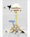 Photographic Prints of Bird Feeding Station – attracting various birds in winter from Ardea Wildlife Pets