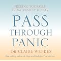 Pass Through Panic: Freeing Yourself from Anxiety and Fear