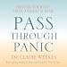 Pass Through Panic: Freeing Yourself from Anxiety and Fear