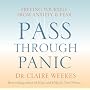 Pass Through Panic: Freeing Yourself from Anxiety and Fear