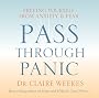 Pass Through Panic: Freeing Yourself from Anxiety and Fear