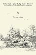 Who Am I and Why Am I Here?: Zen, Spirituality and Enlightenment