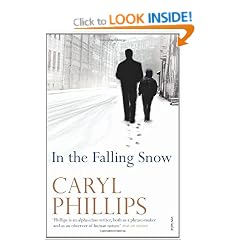 In the Falling Snow