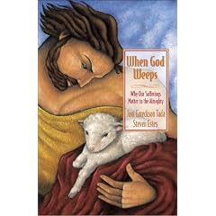 When God Weeps: Why Our Sufferings Matter to the Almighty