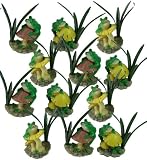 Garden Full Of Frogs - 5