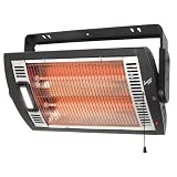 Howard Berger Ceiling-Mount Quartz Heater - 5120 BTU, 1500 Watts, Model# 125115