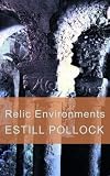 cover of Relic Environments