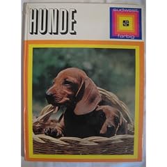 Hunde - ein farbenfroher �berblick �ber alle gebr�uchlichen Hunderassen