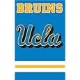 AFUCLA UCLA 44x28 Applique Banner by
