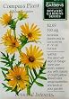 Botanic Gardens Series Compass Plant Seeds 10 Seeds