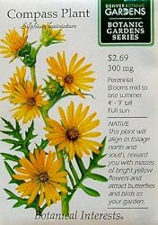 Botanic Gardens Series Compass Plant Seeds 10 Seeds