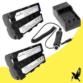 Two Halcyon 2000 mAH Lithium Ion Replacement Battery and Charger Kit for Sony HDR-FX1000 High Definition MiniDV Handycam Dgital Camcorder and Sony NP-F550
