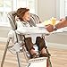 Chicco Polly Magic High Chair, Lilla