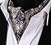 SetSense Men's Paisley Jacquard Woven Self Cravat Tie Ascot