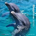 Dolphins 2010 Calendar
