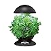 Miracle-Gro AeroGarden 3-Pod Indoor Garden with Gourmet Herb Seed Kit, Black
