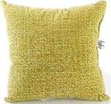 Echo Green Tweed Pillow by Glenna Jean