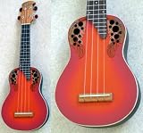 Applause by Ovation UA20/CCB �E�N����