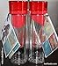 Fruit Infuser Water Bottle - FITASTIC Fruit Infuser TRITAN 24oz BPA FREE & LEAK PROOF- FREE FRUIT INFUSER RECIPES Top Rated Infusion Bottle