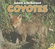 Coyotes [With Web Access]