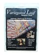 Variegated Leaf Sampler Pack of 6 Sheets 5-1/2x5-1/2 Composition Leaf