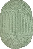 Robin Rugs Patio Solid 8 x 11 Oval lime green Area Rug