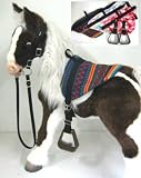 Butterscotch S'Mores Interactive Hasbro 3 Saddle Sett