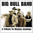 A Tribute To Waylon Jennings