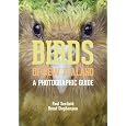 D�tails sur le produit