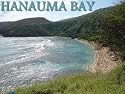 Hanauma Bay: Underwater Paradise