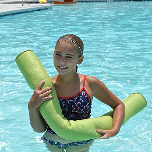 Big Joe Mesh Pool Noodle