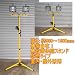 �����邢�I�n���Q�� 500W ������&times;2 �X�^���h���C�g�i98�`190cm�j WTL-50 �O�r�t