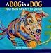 A Dog Is a Dog: And That's What Makes Him So Special