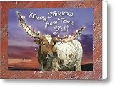 Texas Longhorn Christmas Card Canvas Print / Canvas Art - Artist Robert Anschutz