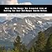 Book Show Me The Money: The Financial Side of Selling Car Door And Bumper Guards Online